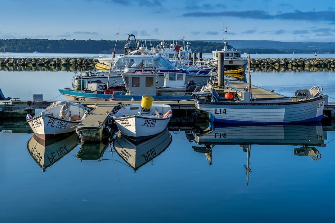 Poole Quay and harbour — Bespoke web design for Poole businesses by Lightly Salted