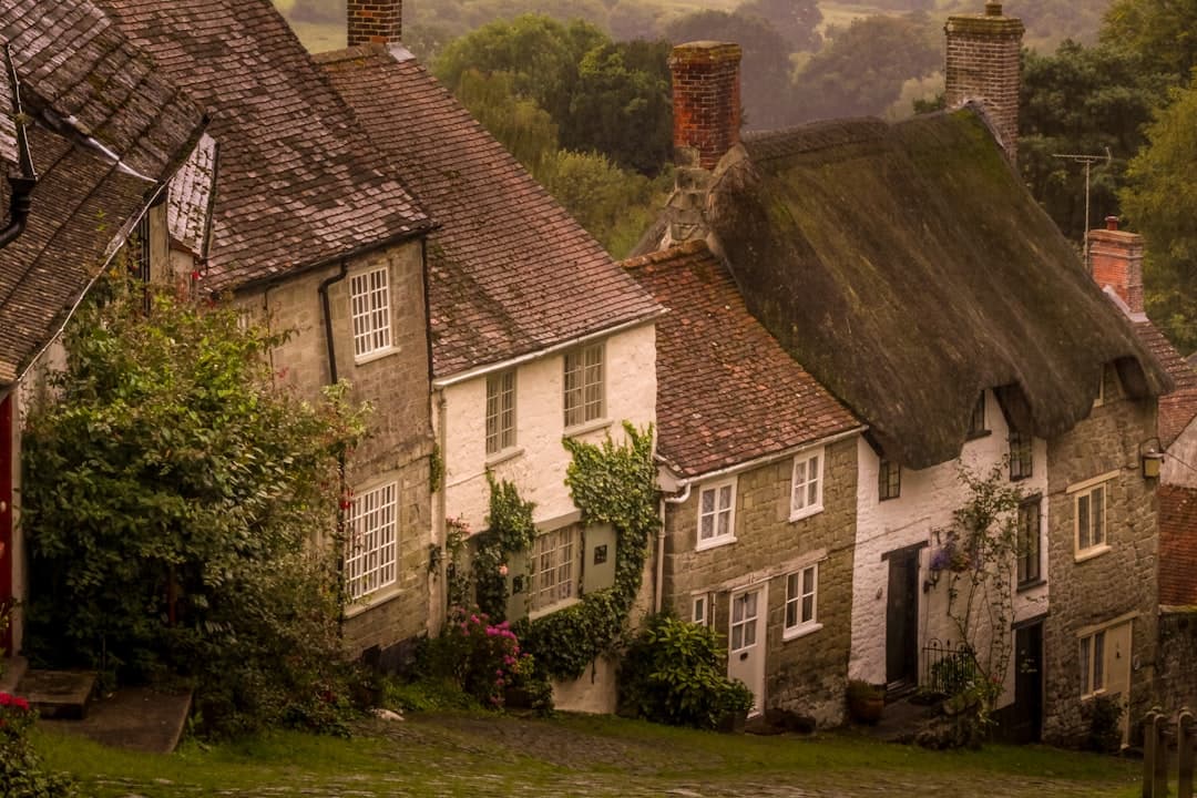 Corfe Mullen village — Bespoke web design for Corfe Mullen businesses by Lightly Salted