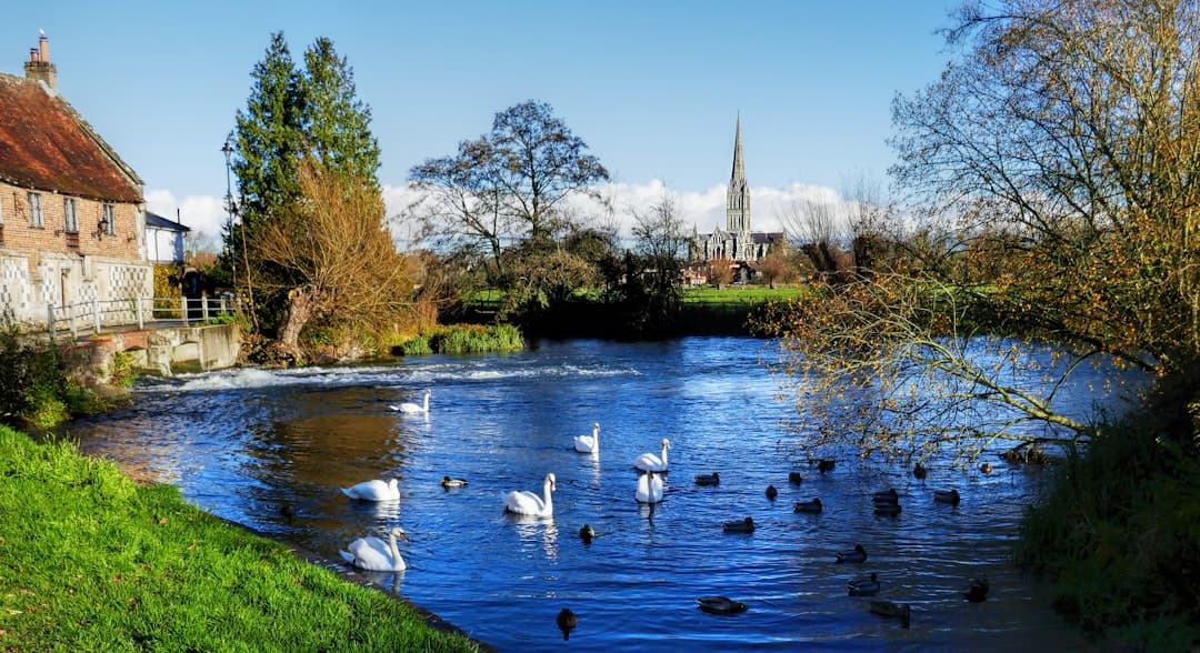 Salisbury Cathedral — Bespoke web design for Salisbury businesses by Lightly Salted