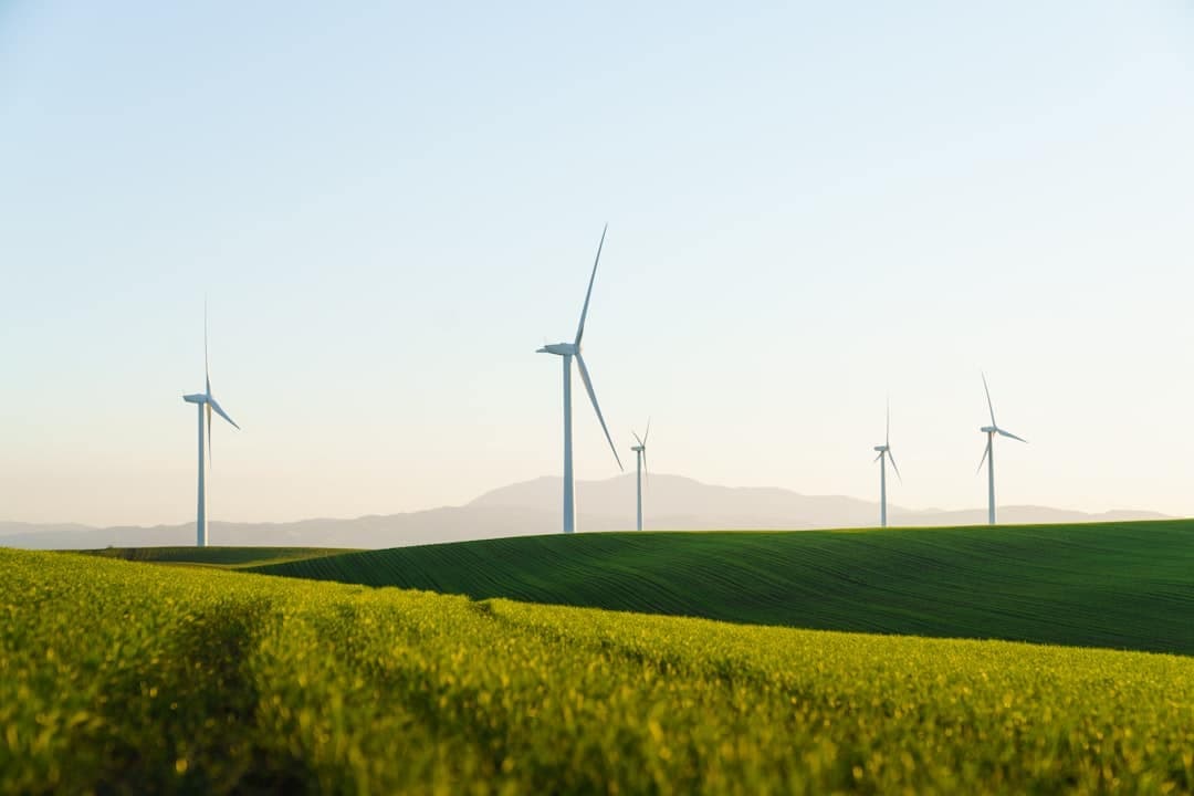 Sustainable web design — green hosting and performance optimisation for UK SMEs